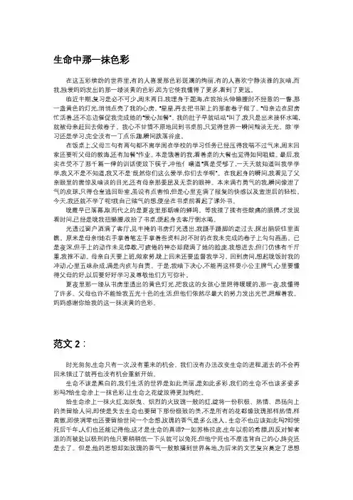 生命中那一抹色彩作文