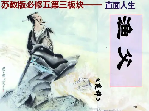渔父公开课精品省公开课一等奖全国示范课微课金奖PPT课件