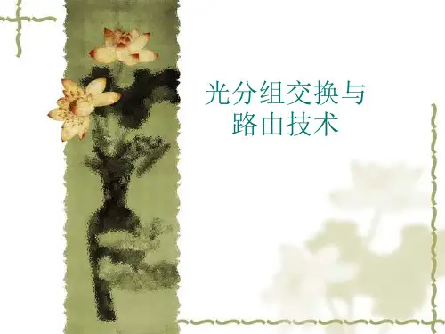 光分组交换与路由技术