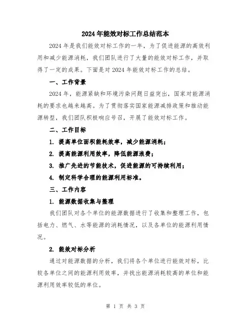 2024年能效对标工作总结范本