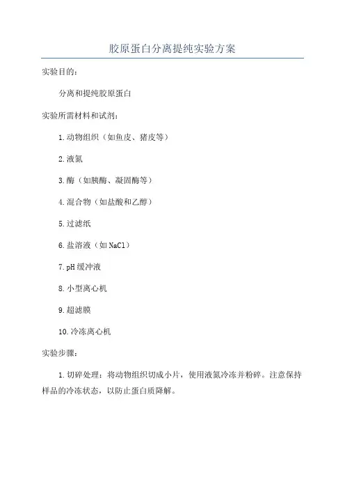 胶原蛋白分离提纯实验方案