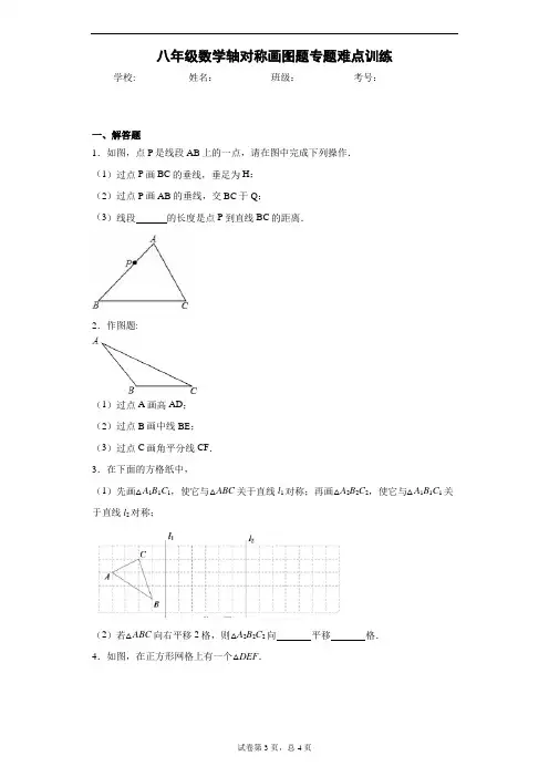 八年级数学轴对称画图题专题难点训练