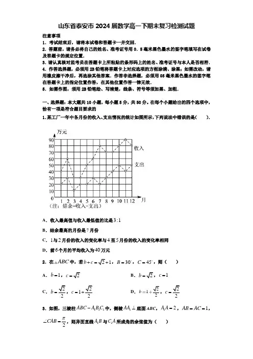 山东省泰安市2024届数学高一下期末复习检测试题含解析
