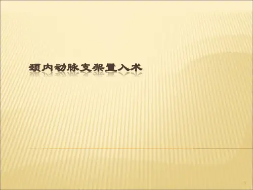 颈内动脉支架置入术精品PPT课件