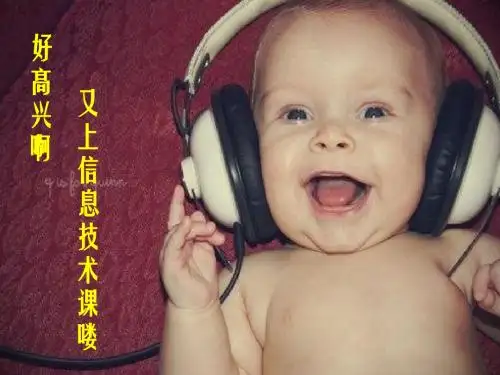 信息的鉴别与评价