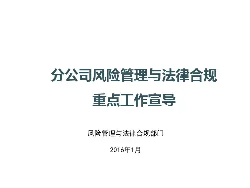 分公司风险管理与法律合规重点工作宣导PPT课件(最新,通用版)