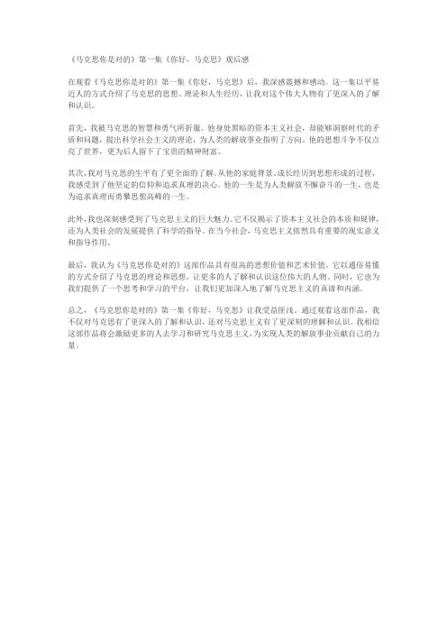 《马克思你是对的》第一集你好马克思观后感