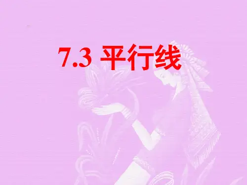 《平行线》PPT