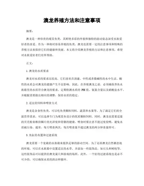 澳龙养殖方法和注意事项