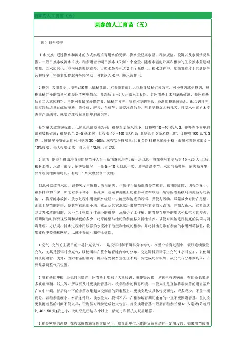 刺参的人工育苗5