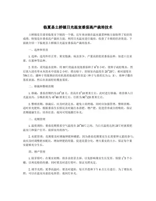 临夏县土桥镇日光温室番茄高产栽培技术