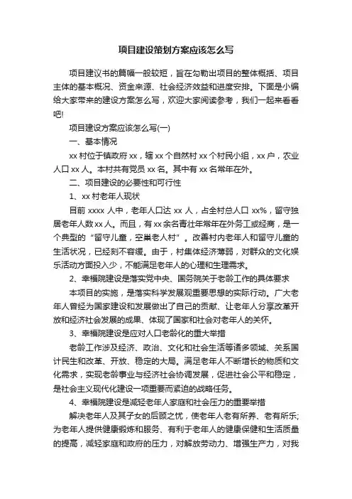 项目建设策划方案应该怎么写