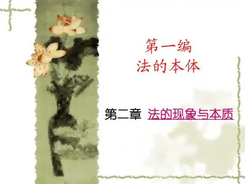 第二章 法的现象与本质
