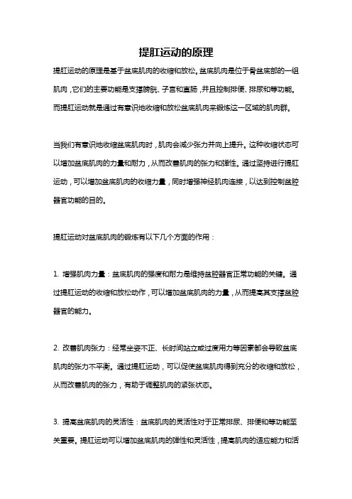 提肛运动的原理