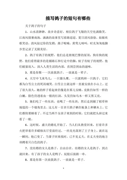 描写鸽子的短句有哪些