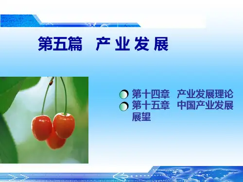 十四章产业发展理论十五章中国产业发展展望