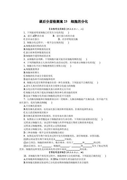 高中生物课时作业(必修第一册)课后分层检测案23