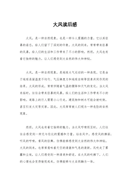 大风读后感