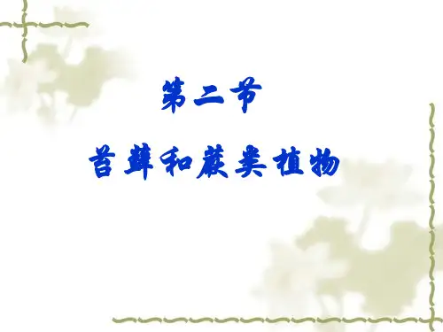 苔藓和蕨类植物(1)