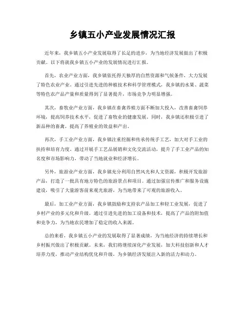 乡镇五小产业发展情况汇报