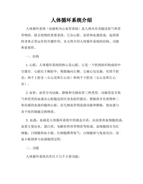 人体循环系统介绍