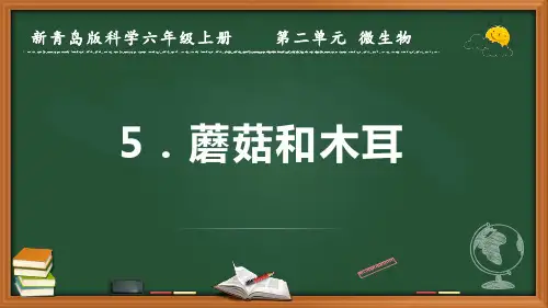新青岛版科学六年级上册《蘑菇和木耳》优质课件