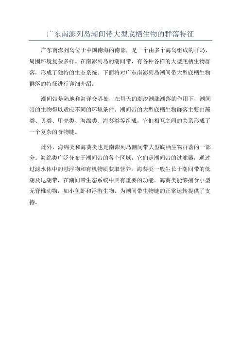 广东南澎列岛潮间带大型底栖生物的群落特征