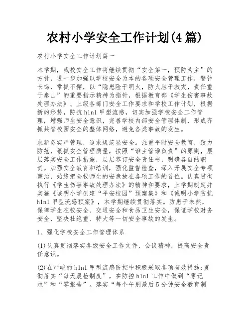 农村小学安全工作计划(4篇)