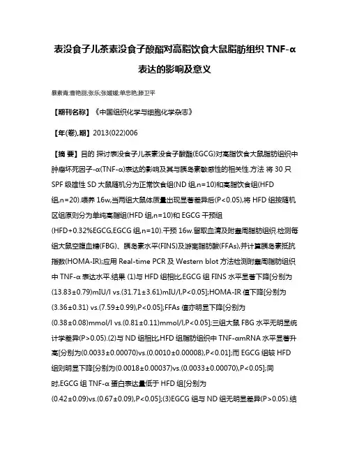 表没食子儿茶素没食子酸酯对高脂饮食大鼠脂肪组织TNF-α表达的影响及意义