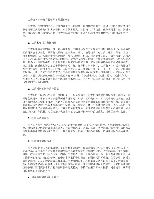 名贵沉香树种植有着哪些市场用途呢？