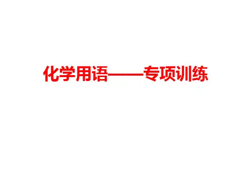 人教版九年级一轮复习化学《化学用语》专项训练