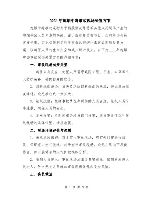 2024年炮烟中毒事故现场处置方案