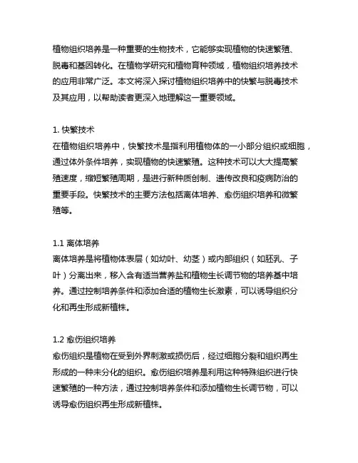 植物组织培养中的快繁与脱毒技术及其应用