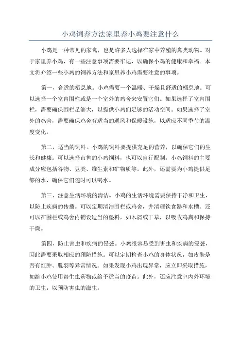 小鸡饲养方法家里养小鸡要注意什么