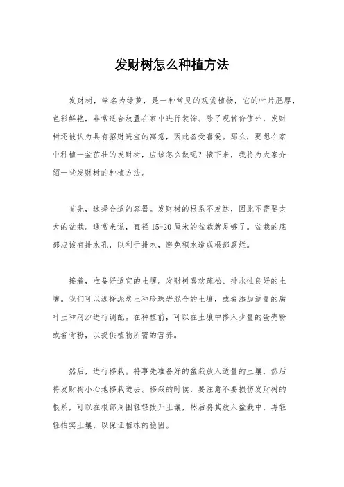 发财树怎么种植方法