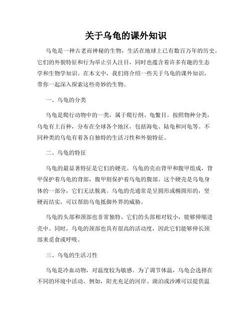关于乌龟的课外知识