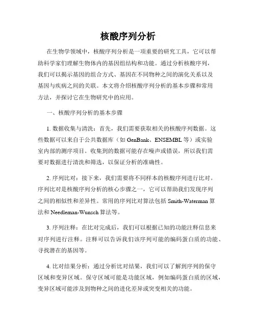 核酸序列分析