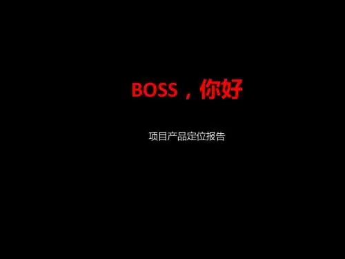 某项目产品定位报告(PPT 54张)