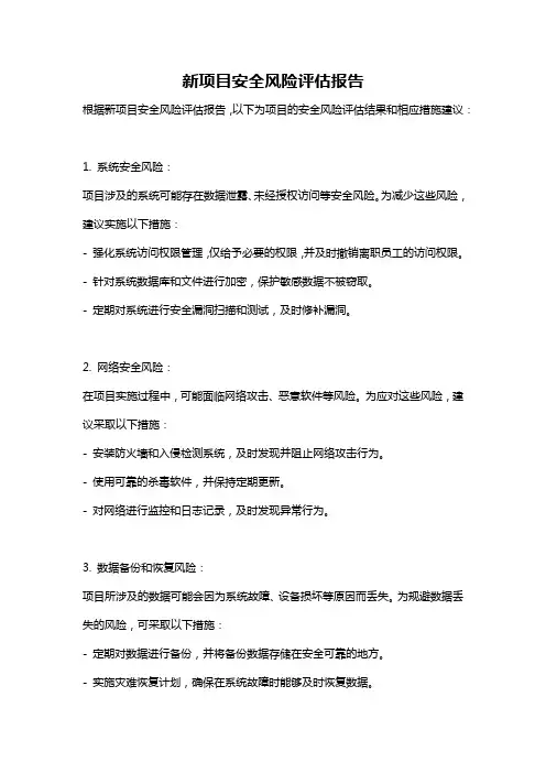 新项目安全风险评估报告