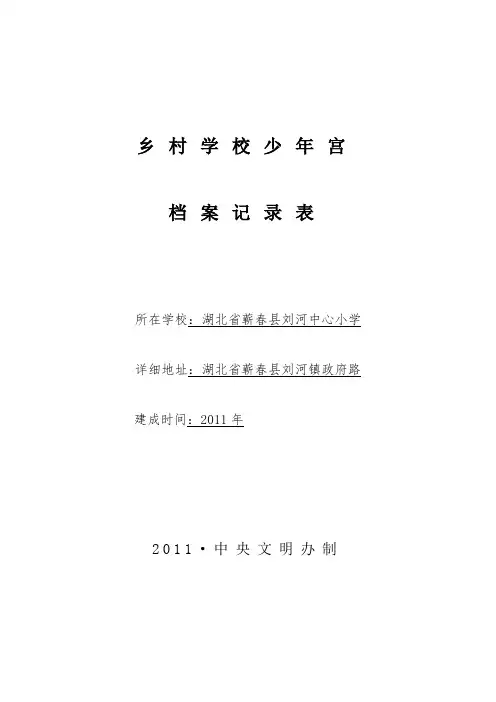 乡村学校少年宫档案记录表【模板】