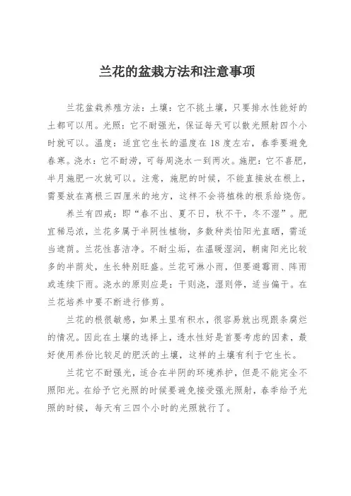 兰花的盆栽方法和注意事项