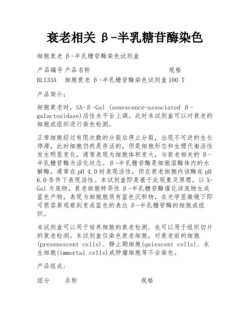 衰老相关β-半乳糖苷酶染色