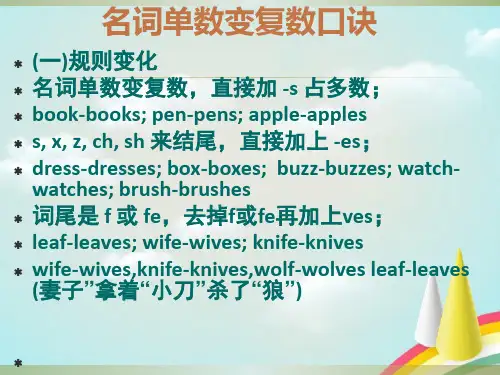 小学英语名词单数变复数口诀及规则