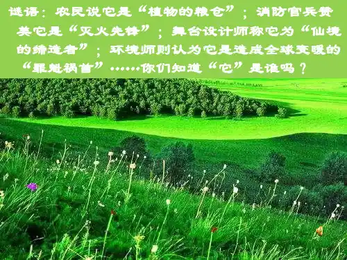 人教版九年级上册《二氧化碳制取的研究》公开课优秀课件