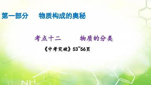 中考化学专题复习 考点十二  物质的分类(21张PPT)