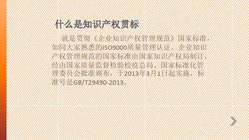 企业知识产权管理规范讲义课件
