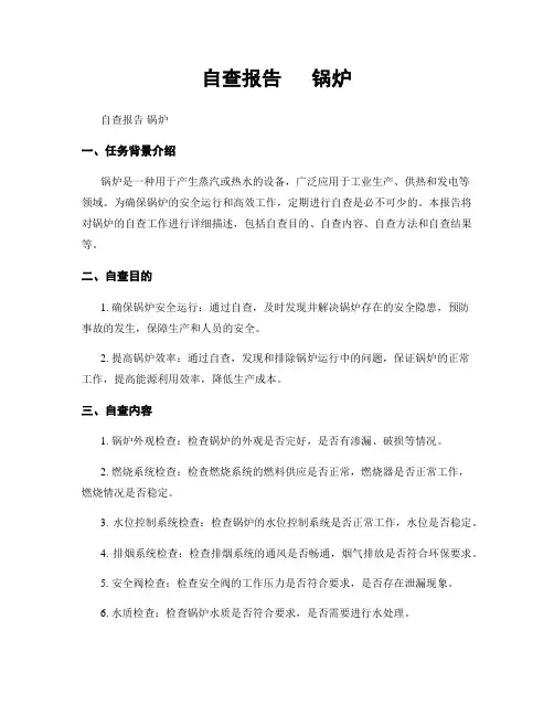 自查报告   锅炉