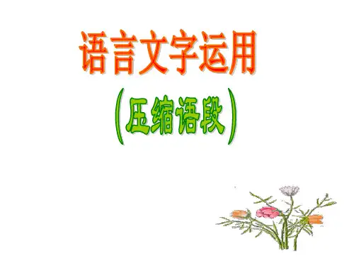 高考语文语言文字运用课件课件(新人教版)