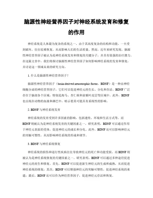 脑源性神经营养因子对神经系统发育和修复的作用