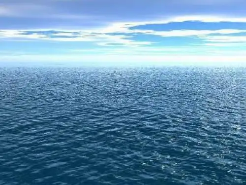 9、青蛙看海